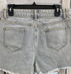 L, Blue B Shorts
