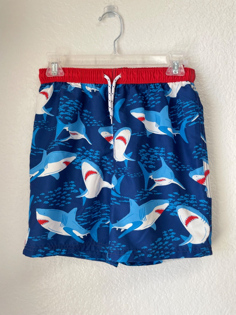 11/12, shark, blu