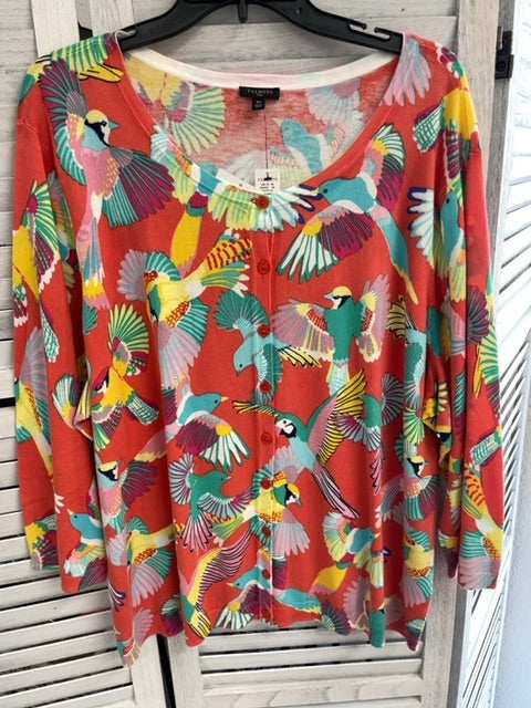 3X, Talbots LS