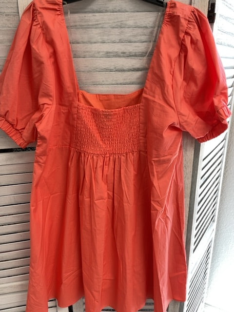 XXL, Wild Fable Dress